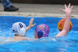 Poseidon Hamburg Wasserball Aktuelles Jugend