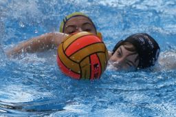 Poseidon Hamburg Wasserball Aktuelles Jugend