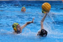 Poseidon Hamburg Wasserball Aktuelles Jugend