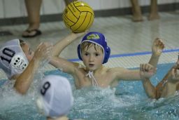 wasserball-aktuelles-jugend