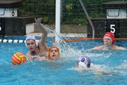 wasserball-aktuelles-jugend-poseidon