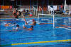 Wasserball Poseidon Hamburg Masters Deutscher Meister