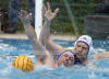 Wasserball Poseidon Hamburg Masters Schuen