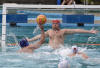 Wasserball Poseidon Hamburg Masters