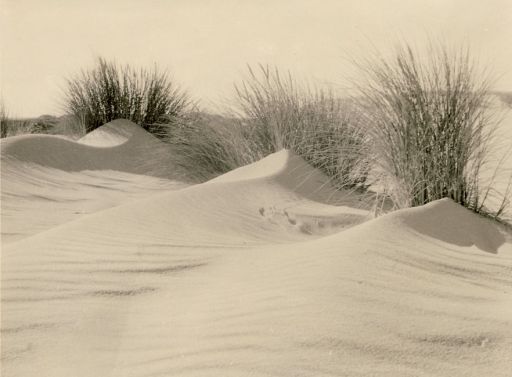 Wanderdüne