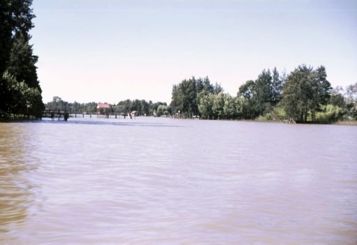 Tigre Delta